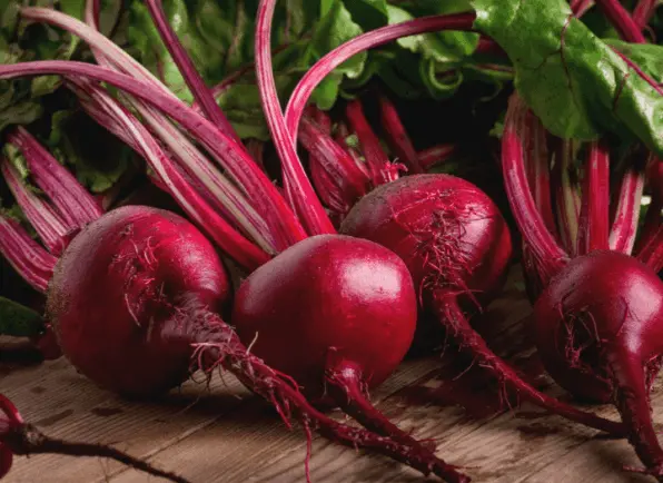 BeetRootExtract-ingredient5